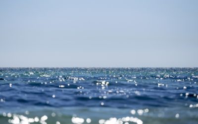 L’interprétation des rêves en psychothérapie ou en psychanalyse