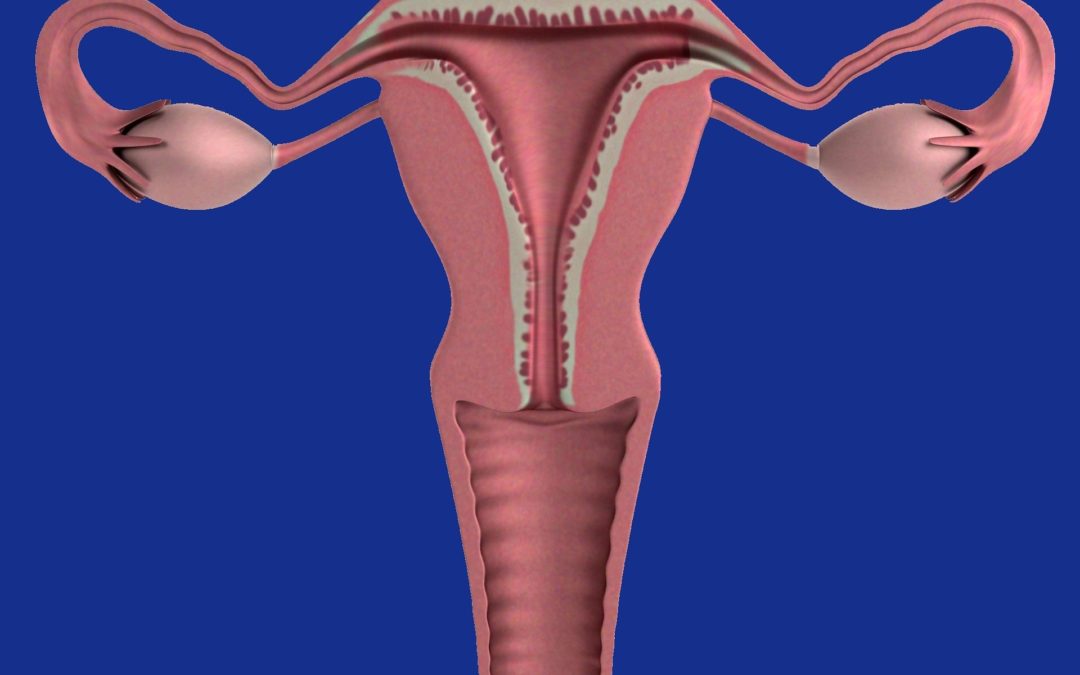 Le syndrome des ovaires polykystiques (SOPK)